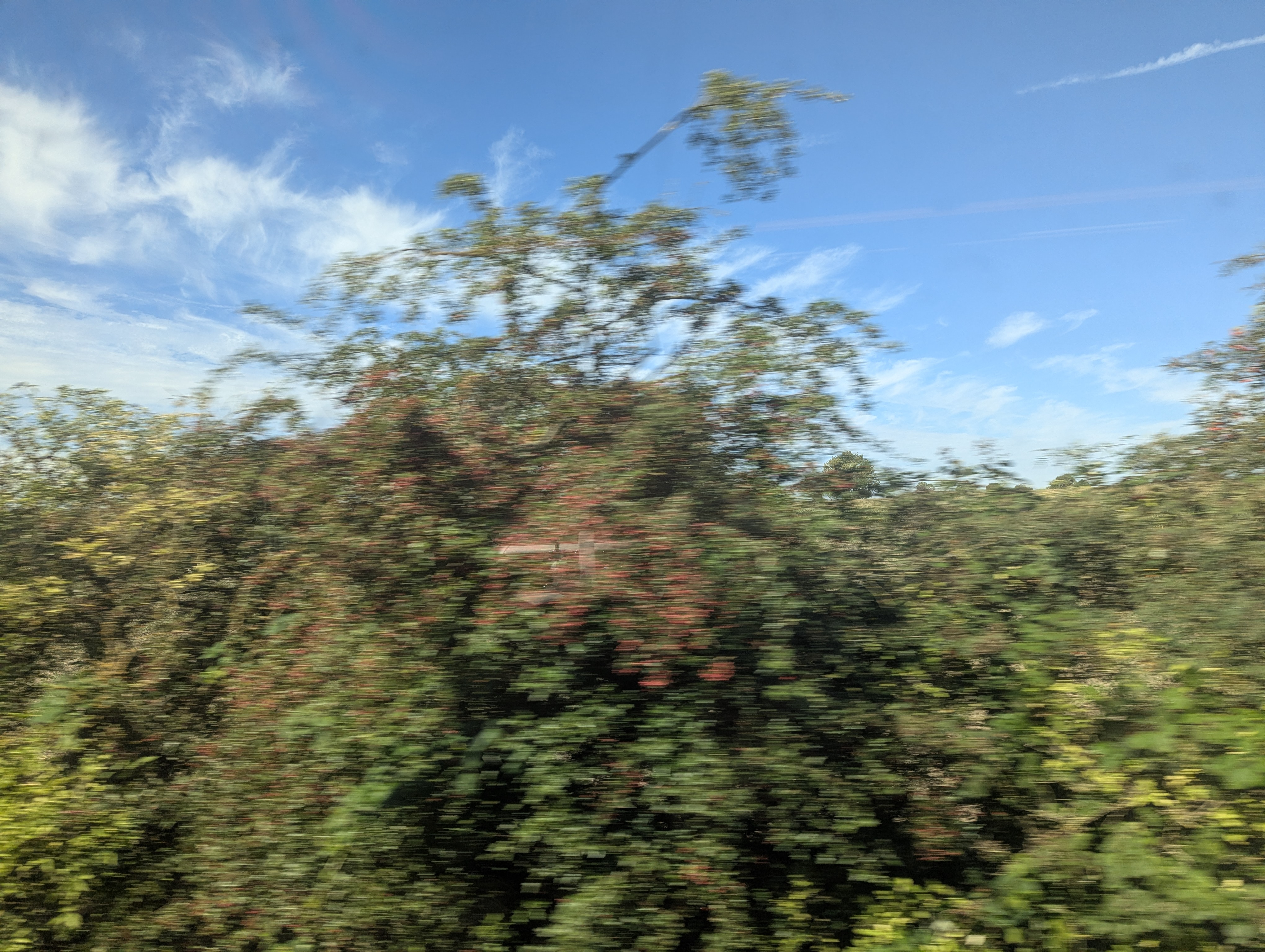 Train to Muenster, Germany